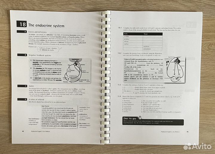 Professional English in Use