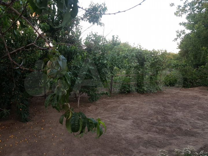 Дача 61 м² на участке 11 сот.