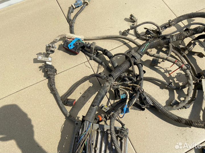 Проводка двигателя Ford Focus 2