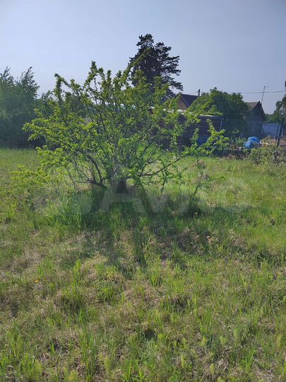 Участок 8 сот. (СНТ, ДНП)