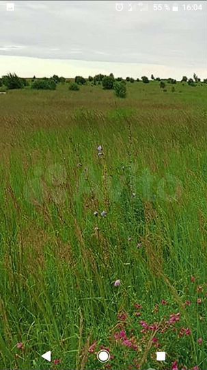 Участок 7,74 га (СНТ, ДНП)