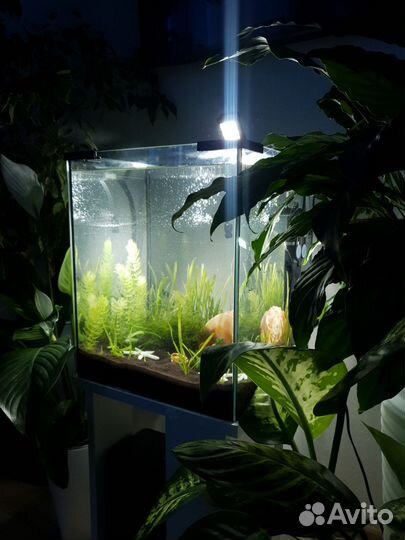 Аквариум Aquael 30