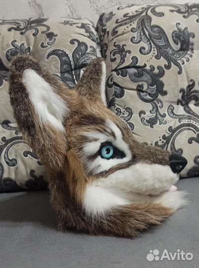 Фурсьют волка