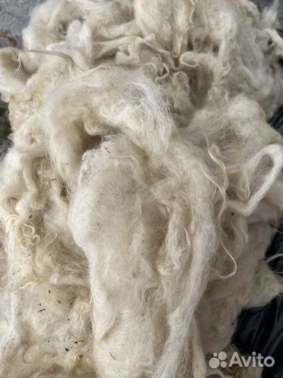 Шерсть овечья