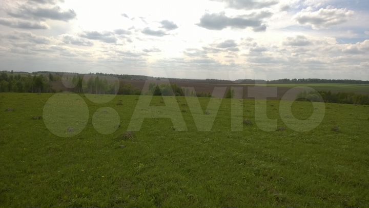 Участок 7 га (СНТ, ДНП)