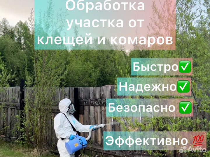 Дезинфекция