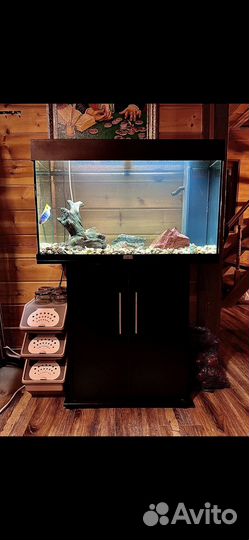 Аквариум ювель 125