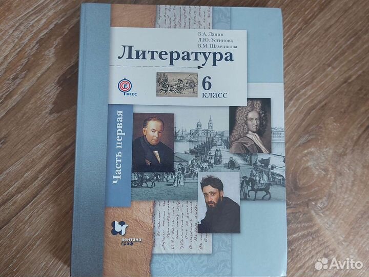 Учебники 6 класс литература Ланин