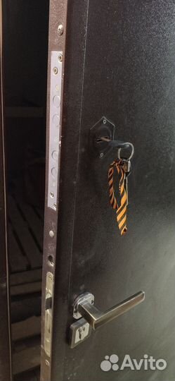 Дверь входная железная металлическая