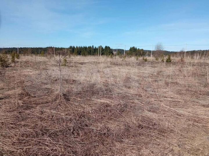 Участок 10 сот. (СНТ, ДНП)