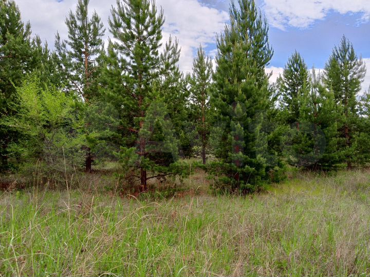 Участок 12 сот. (СНТ, ДНП)