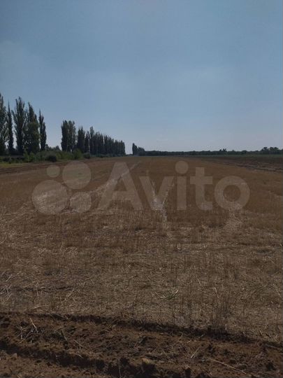 Участок 10 га (СНТ, ДНП)