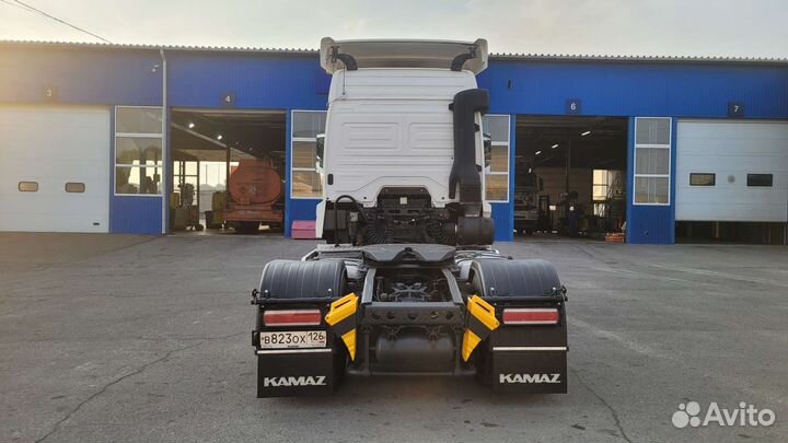 КамАЗ 5490 NEO, 2017