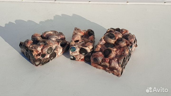 Глаза говяжьи