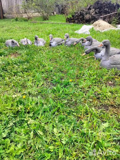 Чучела гусиные