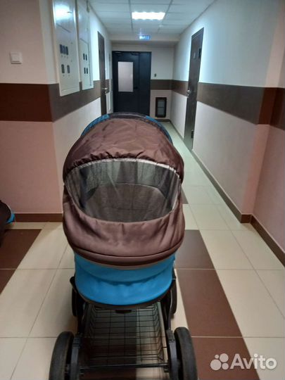 Коляска 2 в 1 Noordi polaris