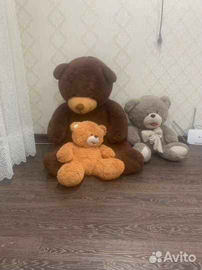 Плюшевые мишки