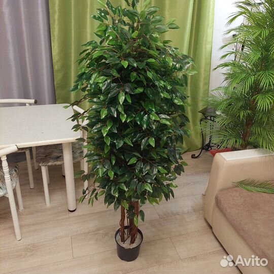 Искусственное дерево. Фикус бенджамина