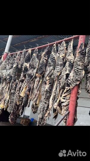 Сушенное мясо и колбаса