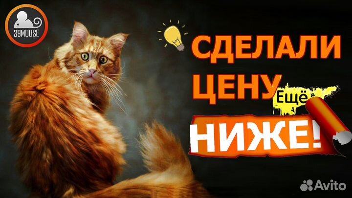 Материнская плата Gigabyte Ga-M52L-S3 на Am2