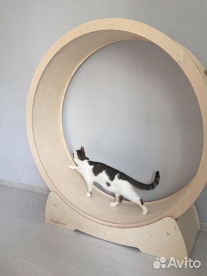 Беговое колесо для кошек и собак