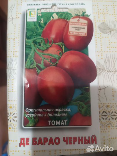 Рассада