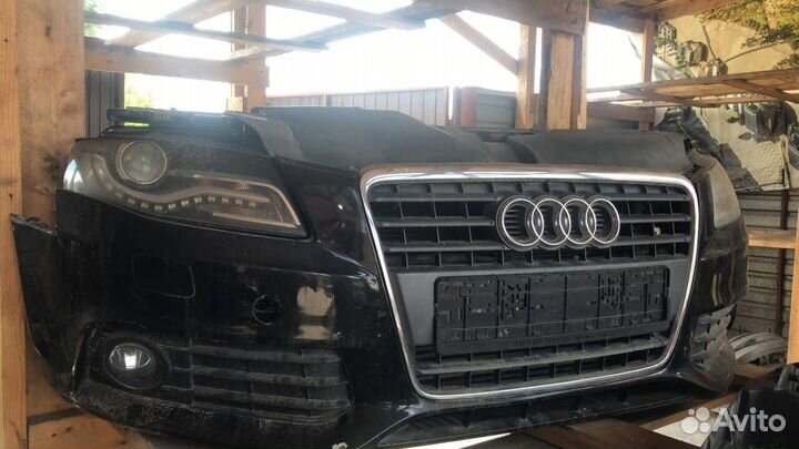 Ноускат A4 b8