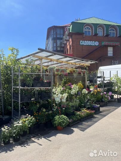 Цветы на любой вкус, садовый центр, у Надежды