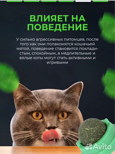 Кошачья мята игрушка