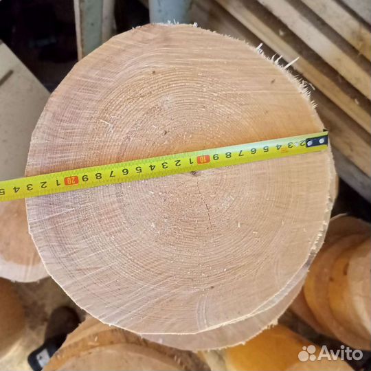 Торцевые спилы деревьев