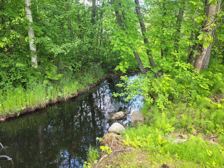 Дом 45 м² на участке 6 сот.