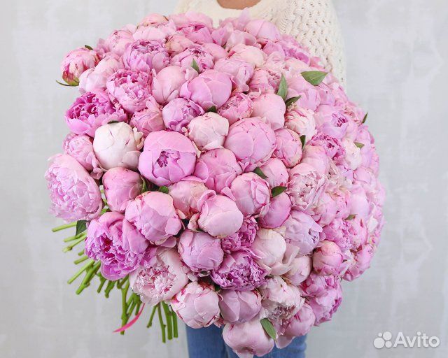 Букет, пионы, 25, 35, 51, 101, 201 пион