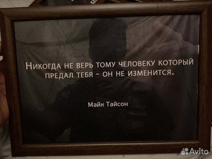 Фотографии