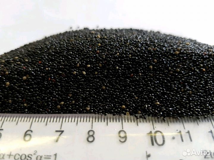 Семена амаранта