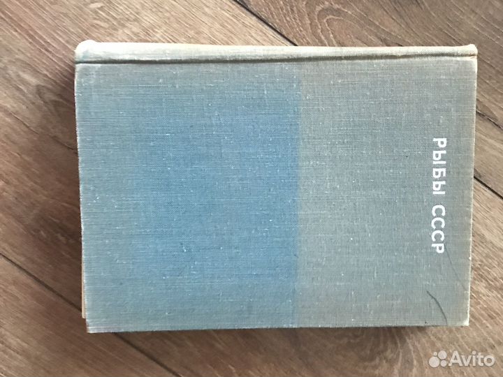 Рыбы СССР Лебедев