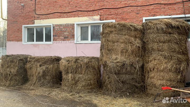 Сено в рулонах