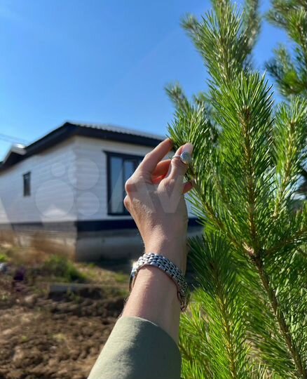 Дом 100 м² на участке 5 сот.