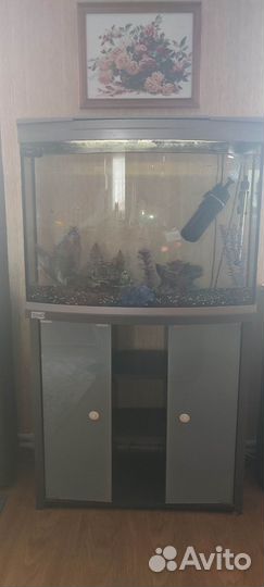 Аквариум