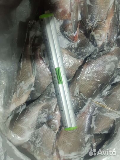 Вобла Астраханская Морож.невод