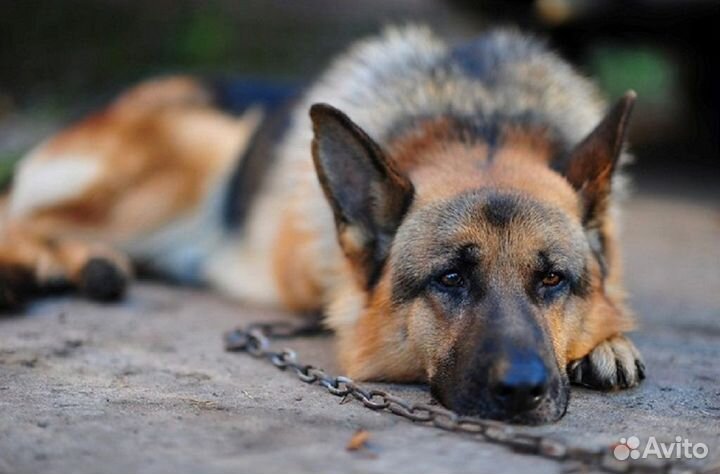 Камера видеонаблюдения с установкой