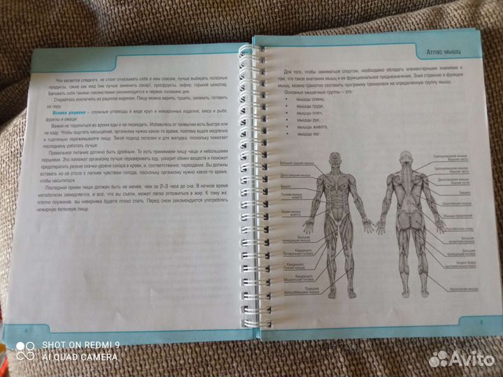 Блокноты ежедневники