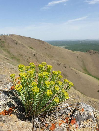 Тур на хребет Нурали и источник Ауле, 29-30 апреля