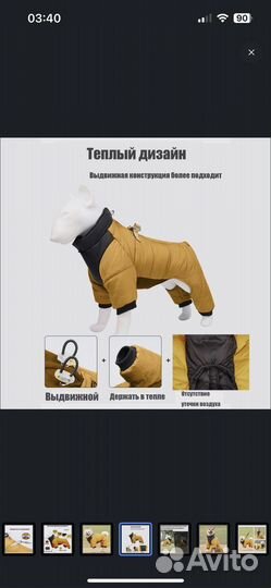 Зимняя одежда для собак