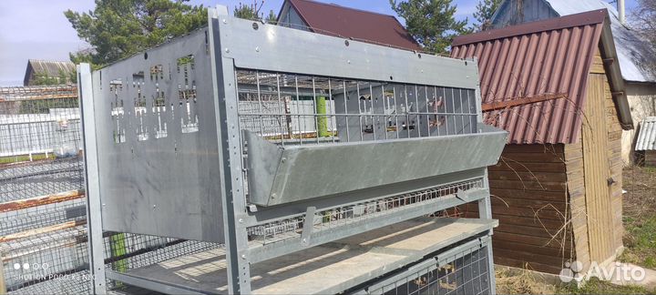 Клетки для кур бройлеров