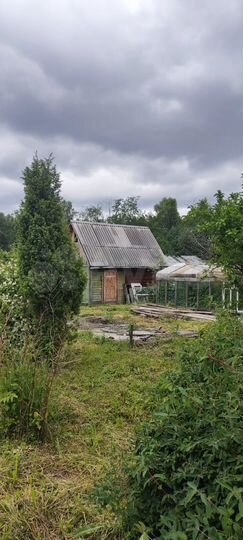 Участок 5,8 сот. (СНТ, ДНП)
