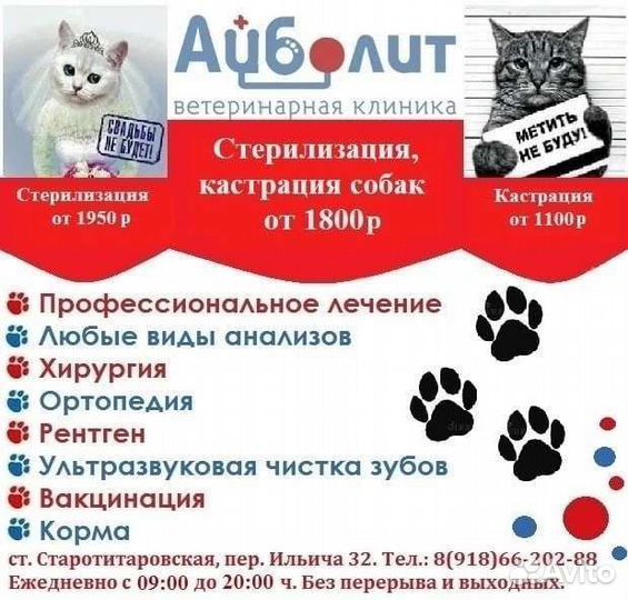 Ветеринарная клиника. Ветеринария. Груминг