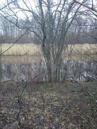 Дом 48,2 м² на участке 25 сот.