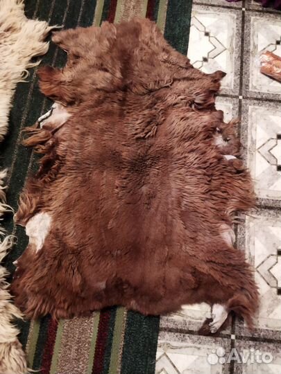 Овечья шкура натуральная