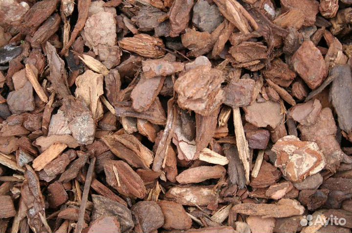 Кора сосны мульча