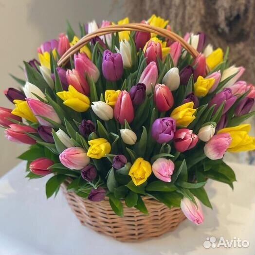51 тюльпан в Корзине с доставкой
